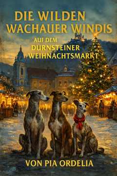 Buchcover Band 15: Die wilden Wachauer Windis auf dem Dürnsteiner Weihnachtsmarkt
