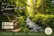 Bach und Wanderweg direkt hinter Zuhause am Bach in Aggsbach Markt